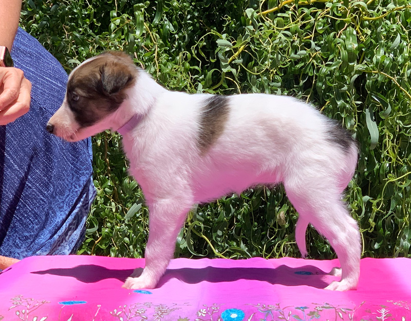 5 weeks - Girl 1 left